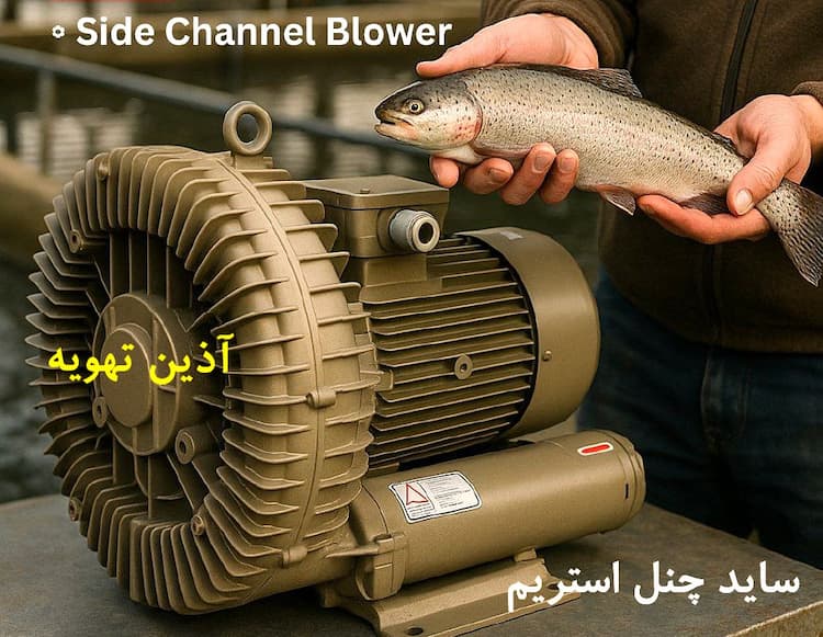 ساید چنل استریم چینی